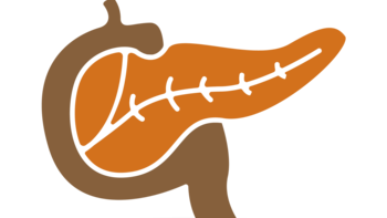 Hier sieht man eine grafische Darstellung der Bauchspeicheldrüse