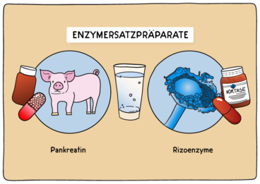 Hier werden Pankreatine (Schwein) mit Rizoenzymen verglichen (Vegetarisch).